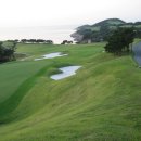 태평양 금호 이미지