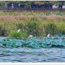 안산 화랑유원지 이미지