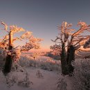 입장중학교 이미지