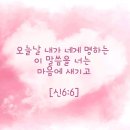 중앙성결교회 이미지