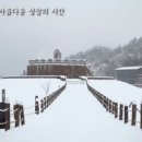 로미지안 치유의 숲 이미지