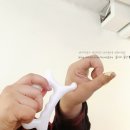 도토괄사/괄사 추천템 스피어블루 사용 후기