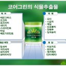 명품디톡스