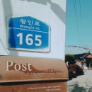 왕벚165 이미지