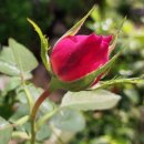 김명래치과의원 이미지