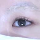 브로우니까