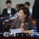 진선미 이미지