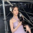 대웅장 이미지