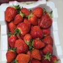 봉서초등학교 병설유치원 이미지