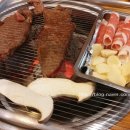 신화목장 티스토리