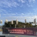 2023 화순적벽낙화놀이 후기 ... 화순 낙화놀이 구경갔다가 소고기만 먹고 온 후기