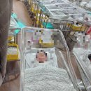 미화피부관리실 | 산본제일병원 4박 5일 분만 후 입원(자연분만 2박3일+조리원 대기 이틀) 후기