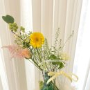 신월동196 이미지