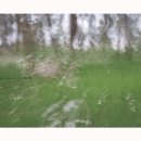 꿈의화원 이미지