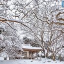 “겨울에 가야 ‘진짜’다”… 이번 주 설경 봐야 하는 국내 여행지 3곳 이미지