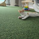 형제농약 이미지