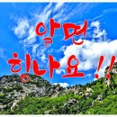 부동산 생활법률 이미지