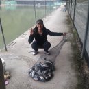 감악산낚시터 이미지