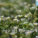 365일 들풀묵상 147 / 매화마름(5월 26일) 이미지