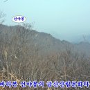 금산산림문화타운 이미지