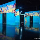 헤이앨리스 | [파주 아이랑 가볼 만한 곳] 뮤지엄 헤이 실감형 미디어아트 후기(포토존 천국)