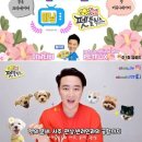 고플릭스 쿠키뉴스