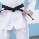 코리아 익스트림 태권도 네이버블로그