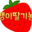 잠뱅이딸기농장
