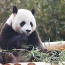 경기물산㈜ 이미지