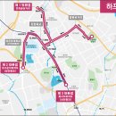 상구운 | 2025 경기마라톤 풀코스 코스리뷰 분석 준비가이드