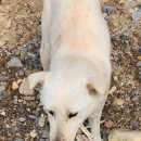 연당조전로 이미지