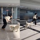 행복한일상 이미지