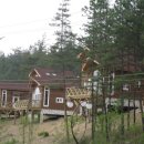 실내승마장(관람석) 이미지