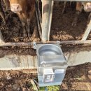 우신축산 이미지