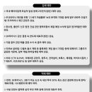 미르코퍼레이션주