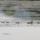 고막낚시터 이미지