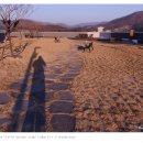 남양주 유기농박물관 이미지