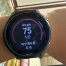 상주곶감공원진입로 | 2025 상주곶감마라톤 하프 130 대비 몸상태 점검 및 훈련법