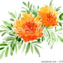 미친서각마을 영농조합 이미지