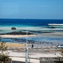 씨에코비치 이미지