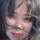 울릉도선창호텔 이미지