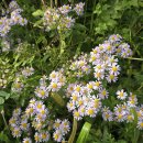 둔덕기성주차장 이미지