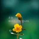 웃음치료사 양성반 이미지