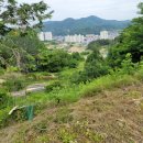 노소영 행정사사무소 이미지