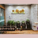 (주)참존 | 도봉구 요양원 추천 참존VIP요양원 7건 리뷰 평균 5점의 만족감