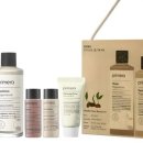 프리메라2 이미지