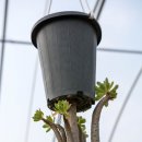 다상농장 이미지