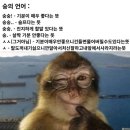 붕붕오리나라 | 1살 더 먹는게 불편해? 그럼 내가 피해