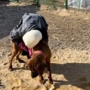 보담농장 이미지