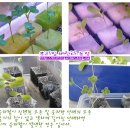 기나키친 이미지